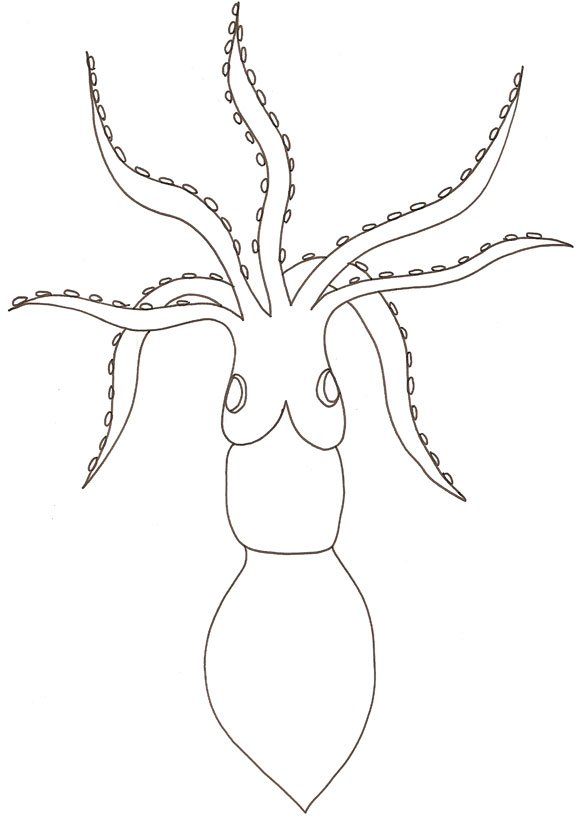 Coloriage d'un poulpe