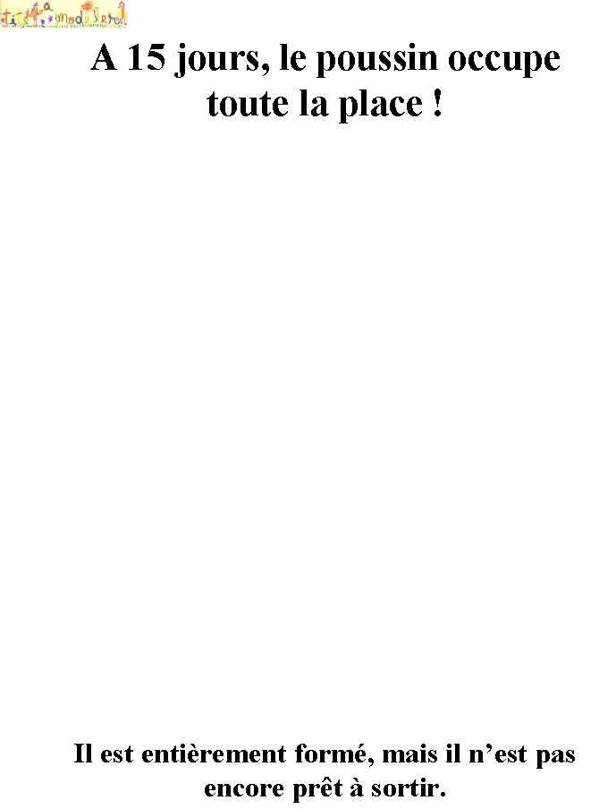 livre sur la poule et le coq  page 5
