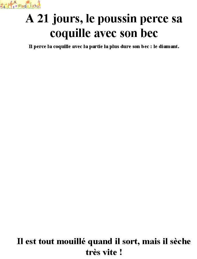 livre sur la poule et le coq page 6
