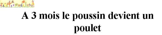 livre sur la poule et le coq page 7
