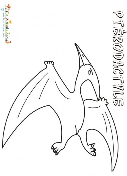 Pterodactyle, coloriage pterodactyle