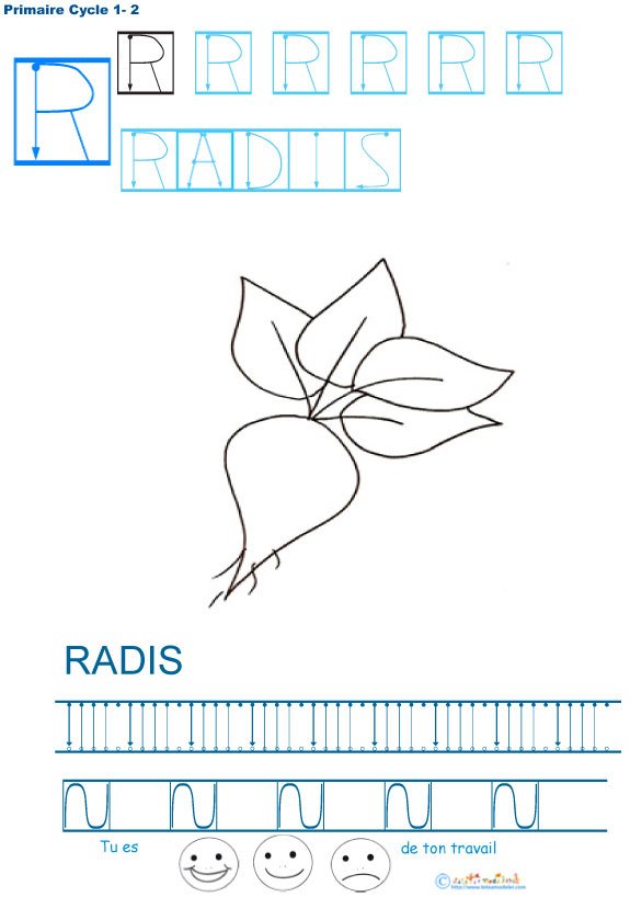 Imprimer la fiche graphisme sur R et radis 
