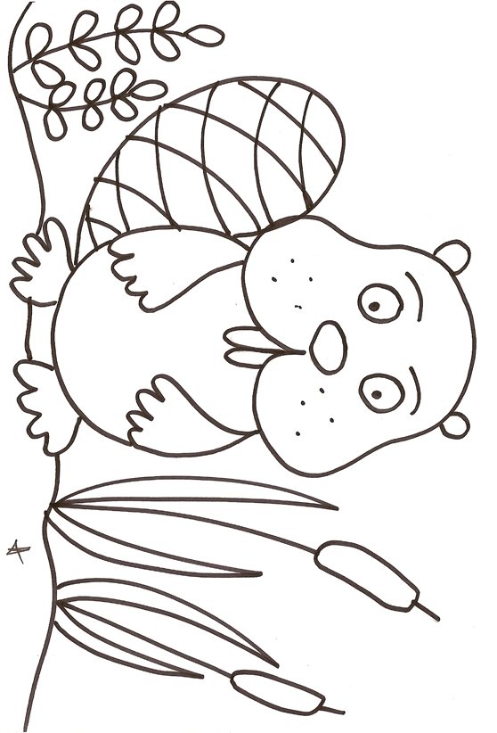 coloriage d'un raton 
