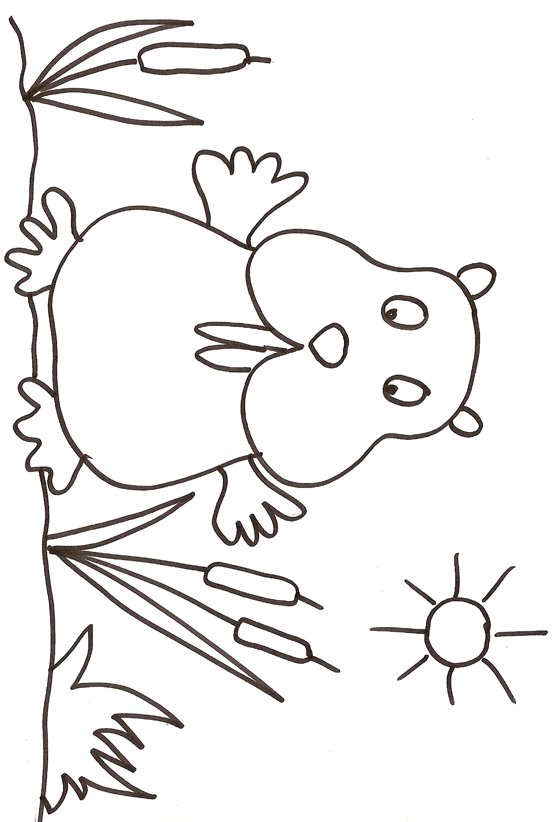coloriage d'un raton 
