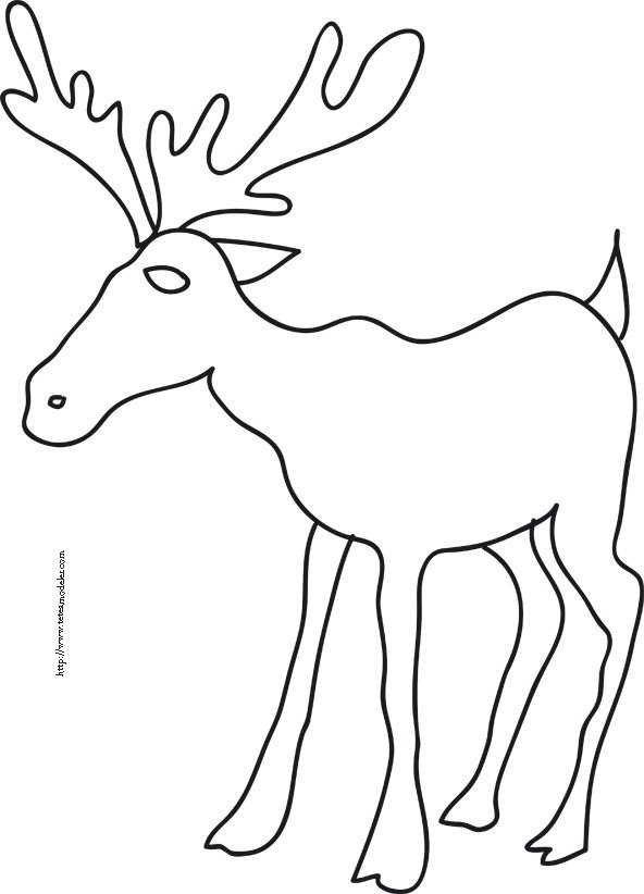 coloriage du renne aux grands bois

