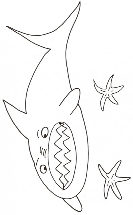 coloriage d'un requin qui montre les dents
