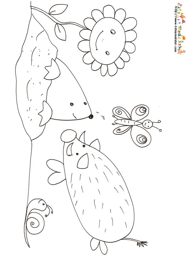 coloriage sanglier taupe
