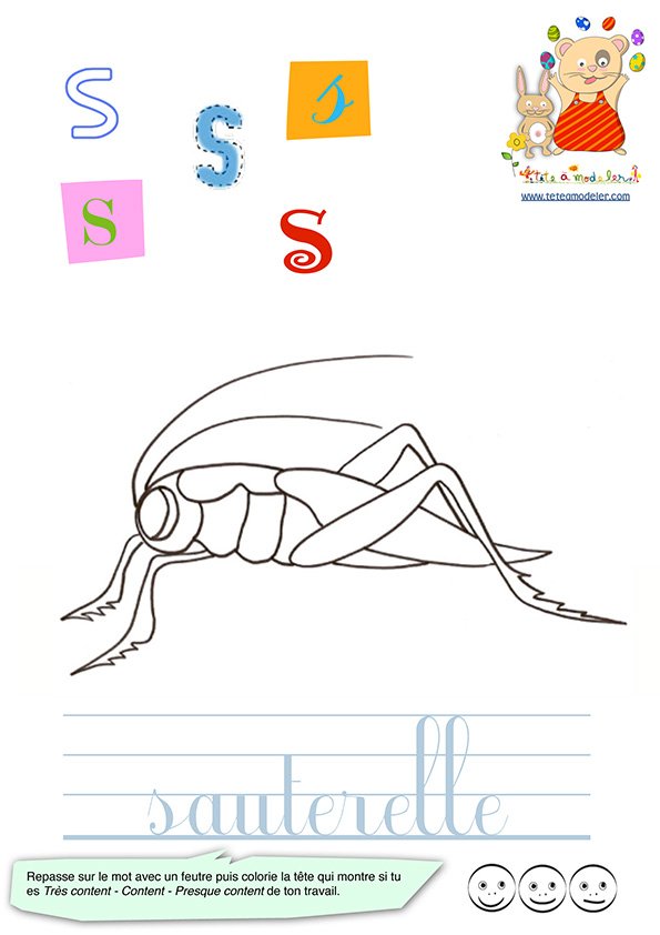 Imagier des minuscule : sauterelle
