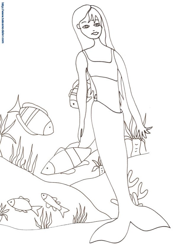 Dessin sirene 2
