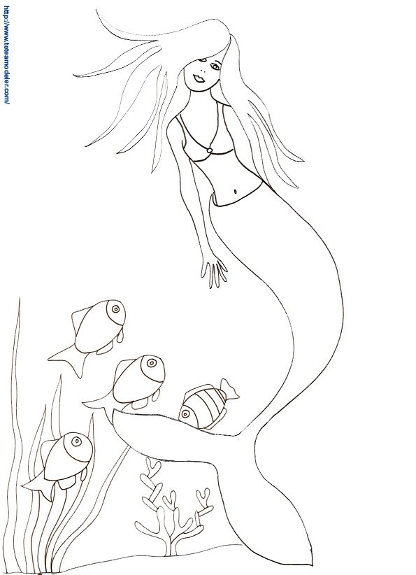 dessin sirene 26
