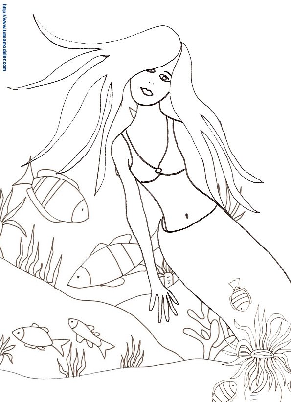 sirene 27
