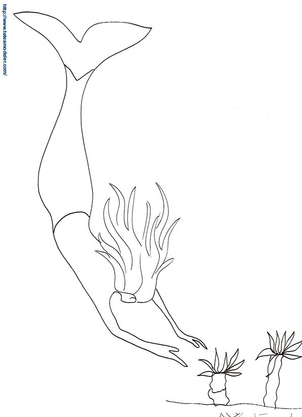 sirene 28
