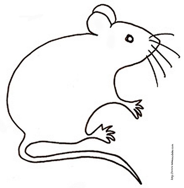 coloriage petite souris 
