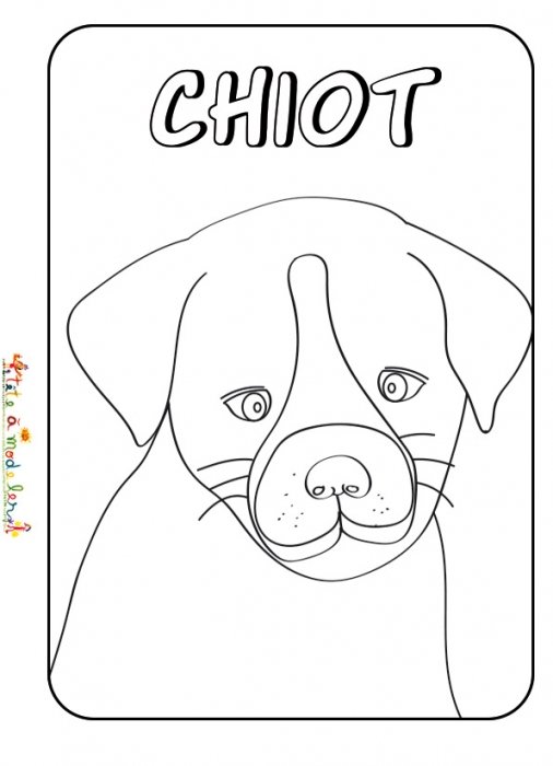 Tête de chiot à colorier
