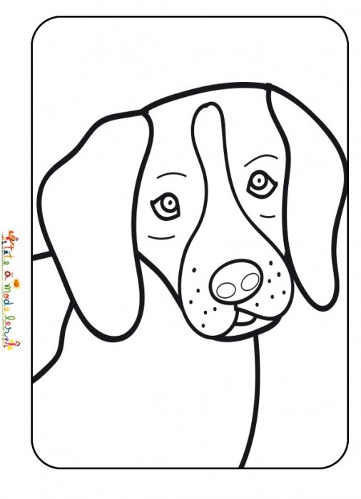 Coloriage tête de petit chien