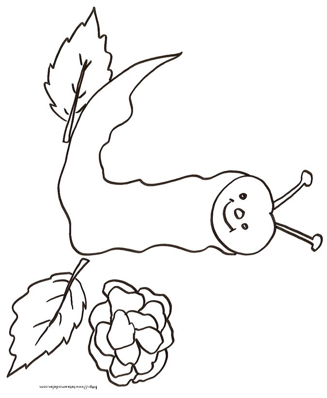 Coloriage du vers souriant devant sa salade
