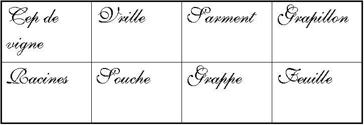 Textes pour un mini livre sur la vigne
