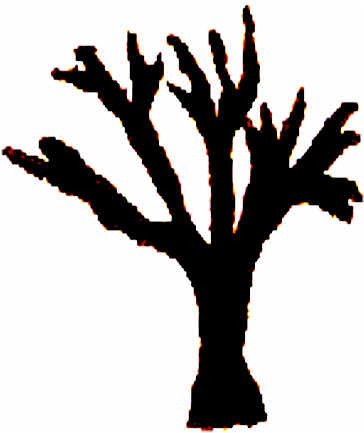 wpe10.jpg (44467 octets)
