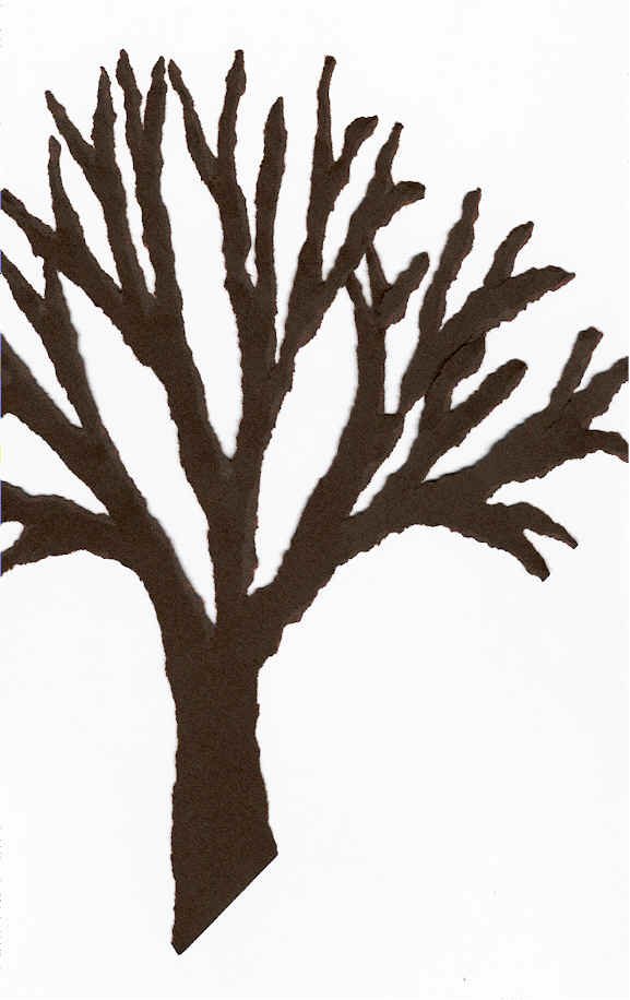 wpe10.jpg (44467 octets)
