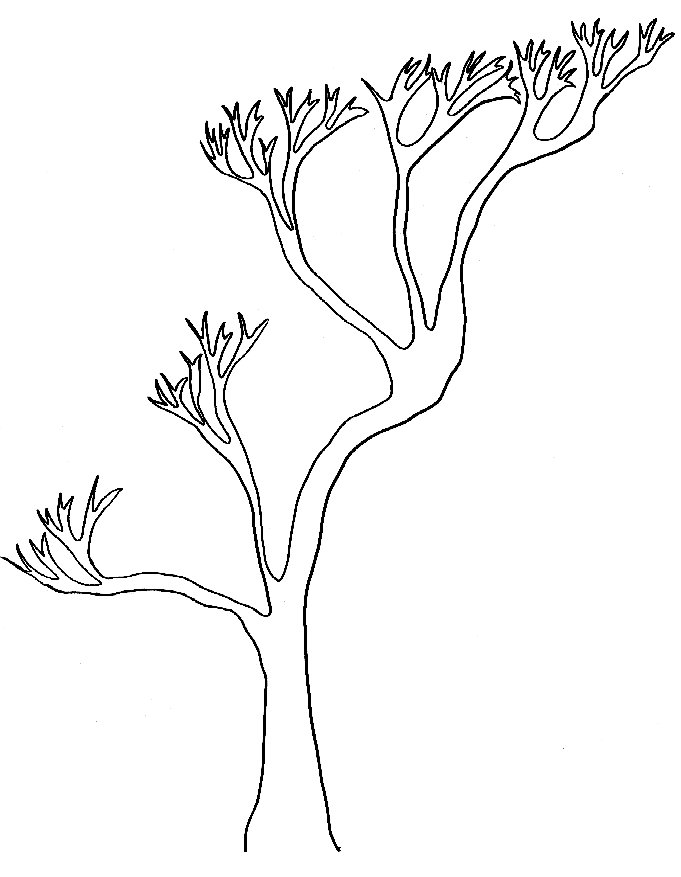wpe10.jpg (44467 octets)

