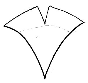 bauta

