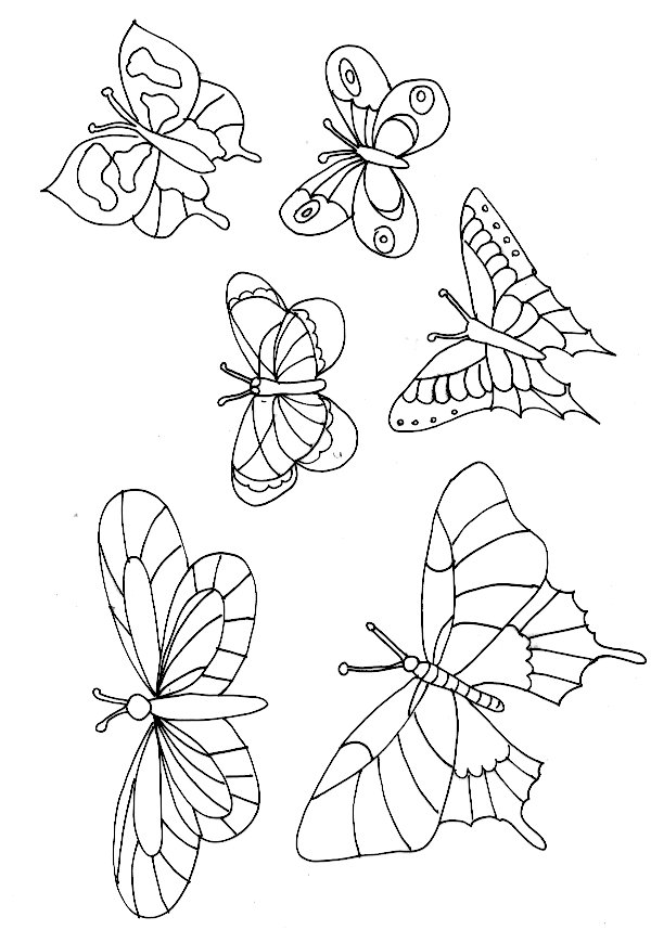 carte papillon pour papa
