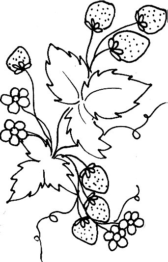 coloriage feuilles et fraises
