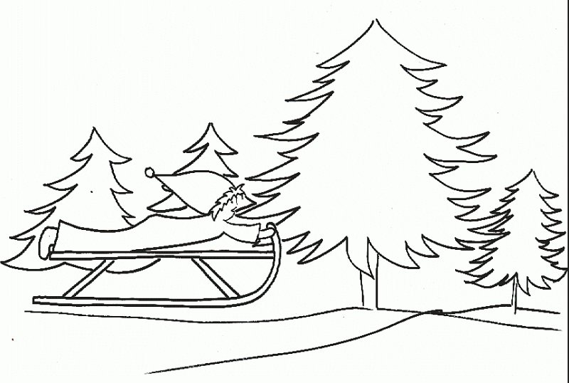 luge