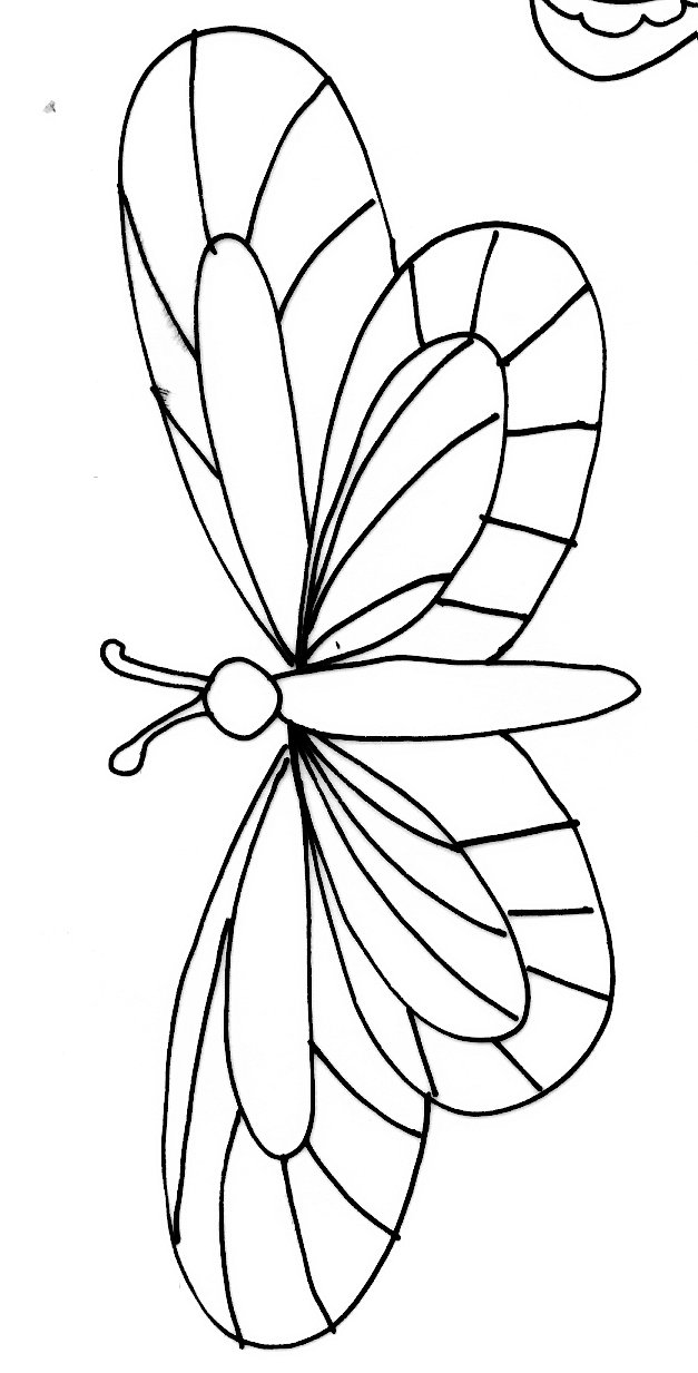 Carte papillons modele 16
