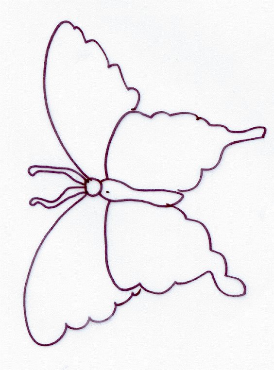 Carte papillonsmodele 7
