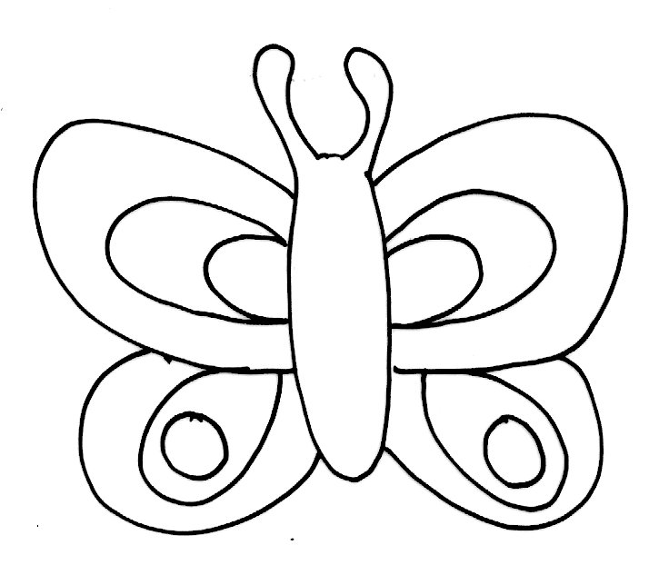 Carte papillons modele 4
