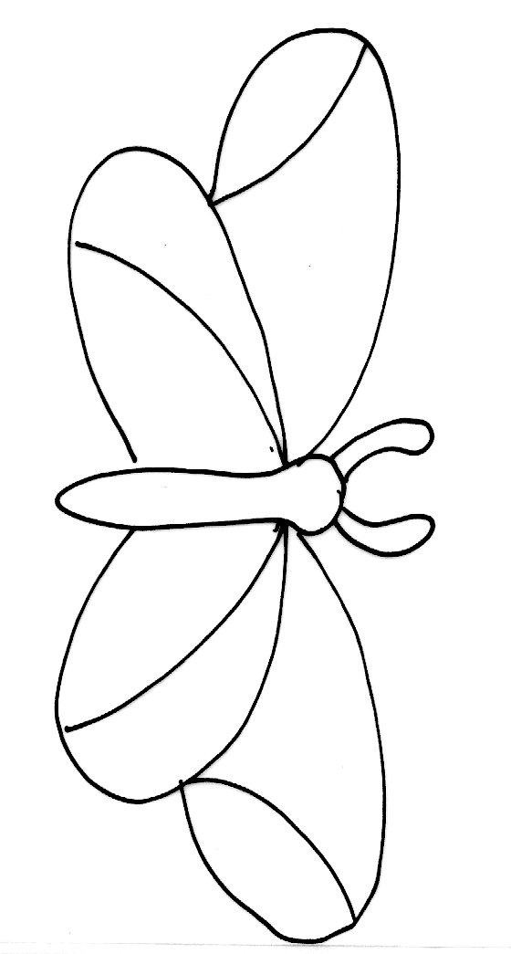 Carte papillons modele 5
