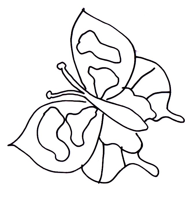Carte papillons modele 9
