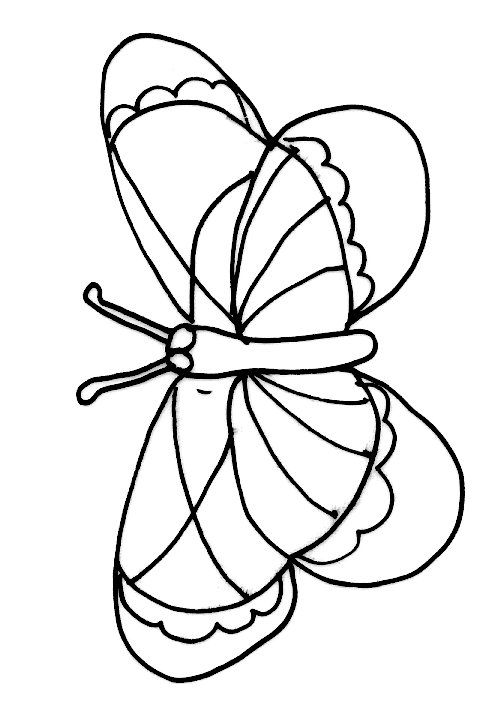 Carte papillons modele 15
