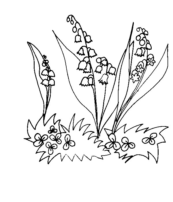 Coloriage de Muguet sur herbe