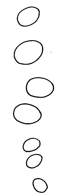 wpe38427.gif (8575 octets)
