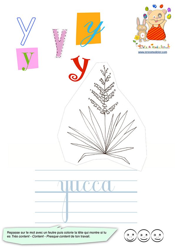 Imagier des minuscule : yucca
