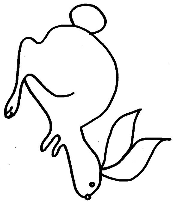 Coloriages du zodiaque chinois li&egrave;vre
