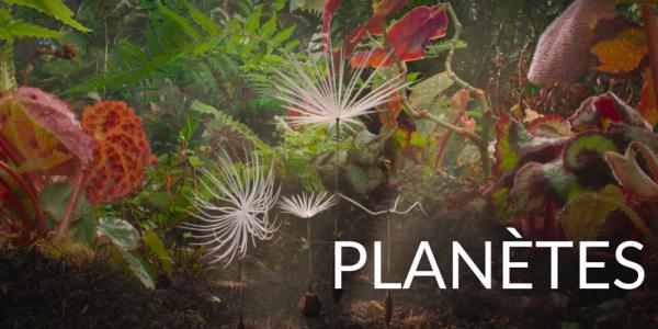 Film Planètes : ce que cette sortie ciné va changer dans vos mercredis en famille
