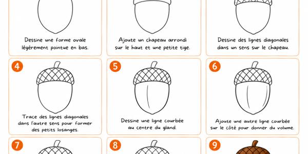 Apprenez à dessiner un gland facilement grâce à notre tutoriel illustré. Une activité créative parfaite pour l'automne.