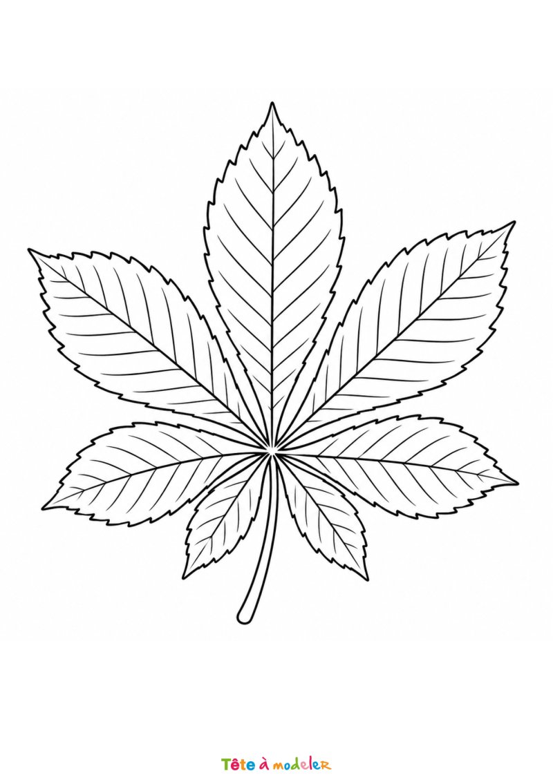 Coloriage d'une feuille de châtaignier à imprimer