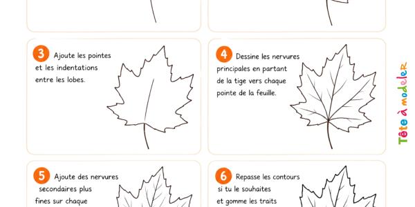 Apprenez à dessiner une feuille d'automne facilement grâce à notre tutoriel étape par étape. Une activité créative idéale pour les enfants dès la maternelle.