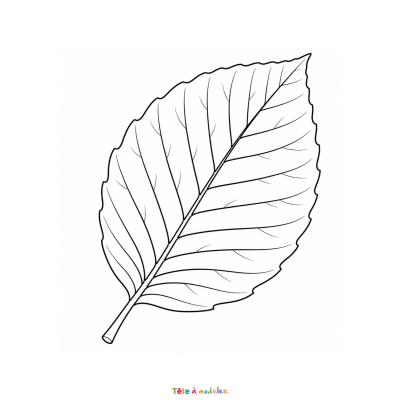 Coloriage d'un paysage d'automne