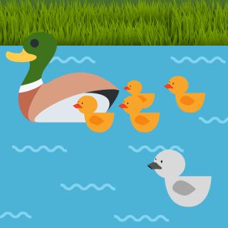 Le vilain petit canard