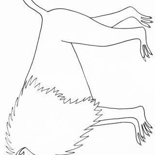 coloriage d'un babouin