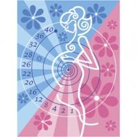 Calendrier grossesse officiel sur le temps de grossesse