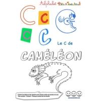 Différence majuscule minuscule : fiches pour apprendre les lettres
