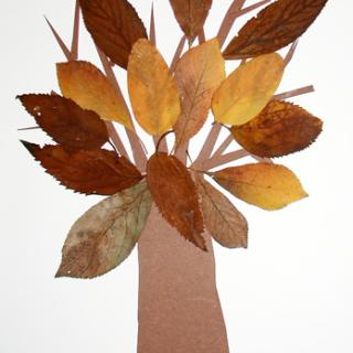 Fabriquer un arbre en feuilles d'automne pour l'éveil du jeune enfant