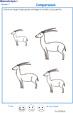Exercice 1 sur la plus petite et plus grande gazelle PS 