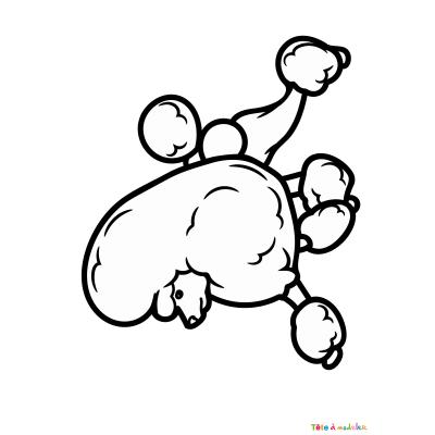 Coloriage d'un caniche fille